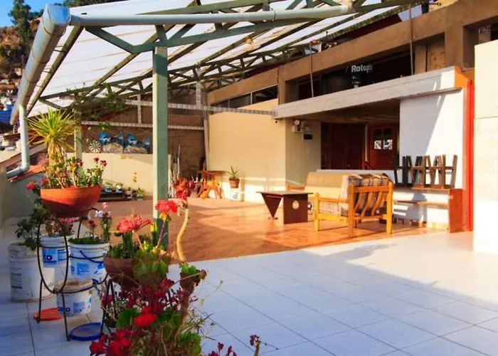 La Casa De Momo