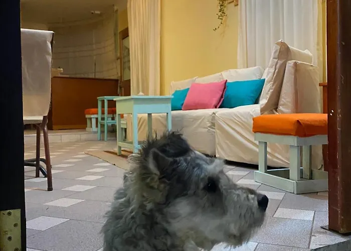 La Casa De Momo *